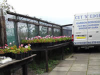 Old Mill Nursery